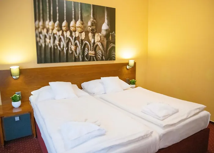 Hotel U Salzmannu