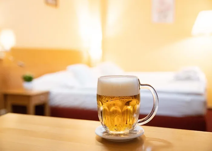 Hotel U Salzmannu